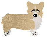 Pembroke Welsh Corgi - Unknown