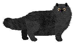 Persian - Supernova V1