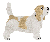 Petit Basset Griffon Vendeen - Abnormality