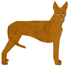 Pharaoh Hound - Supernova