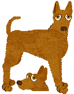 Pharaoh Hound - Unknown