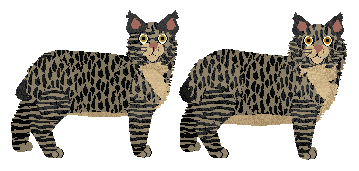 Pixiebob - Supernova