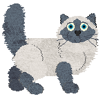 Ragdoll - Paranoia V1