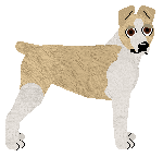 Rat Terrier - Supernova