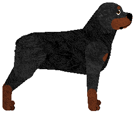 Rottweiler - Supernova V2