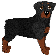 Rottweiler - Abnormality V2