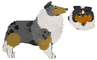 Rough Collie - Abnormality V2