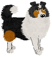 Rough Collie - Abnormality V1