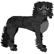 Saluki - Paranoia V1