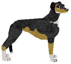 Saluki - ButterflyChaser V2