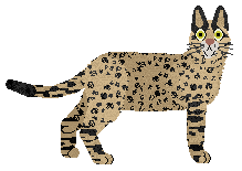 Savannah - Supernova