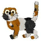 Scottish Fold - The Duck Retrievers