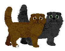 Scottish Fold - Paranoia