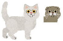 Scottish Straight - Aniseed