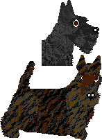 Scottish Terrier - Supernova V2