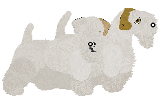 Sealyham Terrier - Abnormality V2