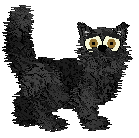 Selkirk Rex - Unknown