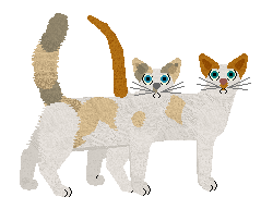 Seychellois - Supernova V1