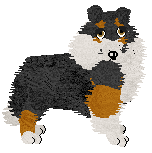 Shetland Sheepdog - Phoenix Blaze V2 (Modified)