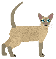 Siamese - Supernova V2