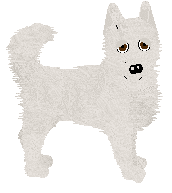 Siberian Husky - Finishing Touch