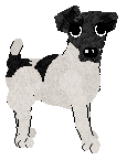 Smooth Fox Terrier - Unknown