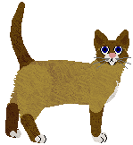 Snowshoe - Supernova