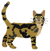 Sokoke - PDH's Resources