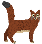 Somali - Supernova V1