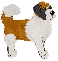 St. Bernard - Abnormality V1 (Longhaired)