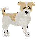 Staffordshire Bull Terrier - Abnormality