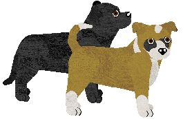 Staffordshire Bull Terrier - Supernova V1