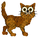 Tabby - Pawzative Attitude