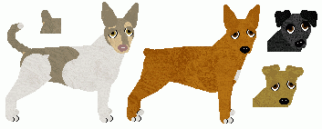 Teddy Roosevelt Terrier - PDH's Resources