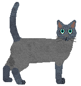 Tonkinese - Supernova V2