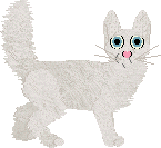 Turkish Angora - Paranoia V1