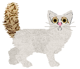 Turkish Van - Paranoia V2