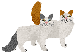 Turkish Van - Supernova V1