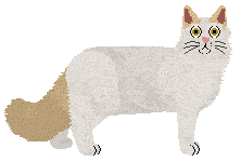 Turkish Van - Supernova V2