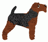 Welsh Terrier - Bramblewood