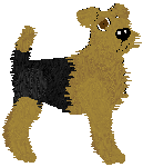 Welsh Terrier - Unknown