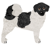 Wetterhoun - Abnormality