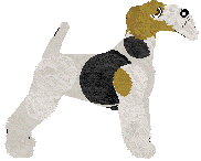 Wire Fox Terrier - Abnormality V2