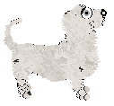 Profile image of King's Odd One Out