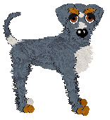 Dandy/Tangled's This Dog Likes Pizza — “Toni”