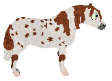 Profile image of Sakura Ridge Cotswolds Fall Fair