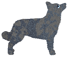Profile image of Daisybrook's Clean Slate Blue