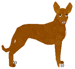 Profile image of Dragosani SILENT ANTAGONIST