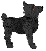 Profile image of Dragosani EKSTREMALNY BEZDECH SENNY