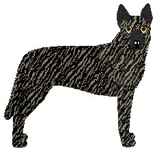 Profile image of Dragosani ANATOMIA WOJOWNIKA